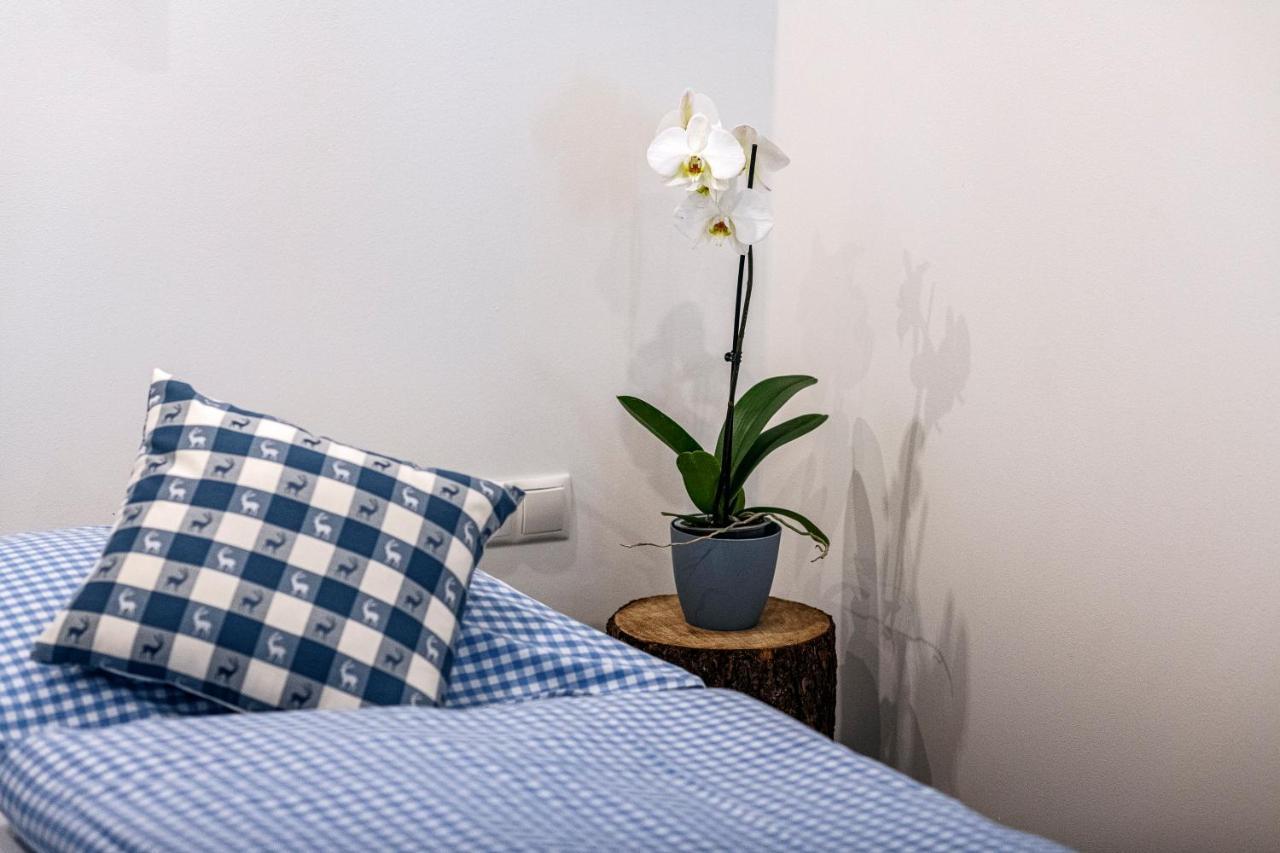 Haus Silvretta Nova Apartment Tschagguns Bagian luar foto